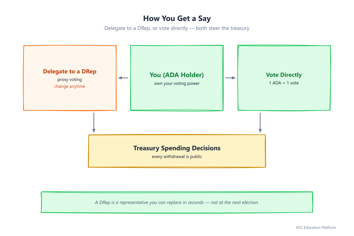 Participation: an ADA holder can delegate to a DRep (proxy voting, change anytime) or vote directly (1 ADA = 1 vote)