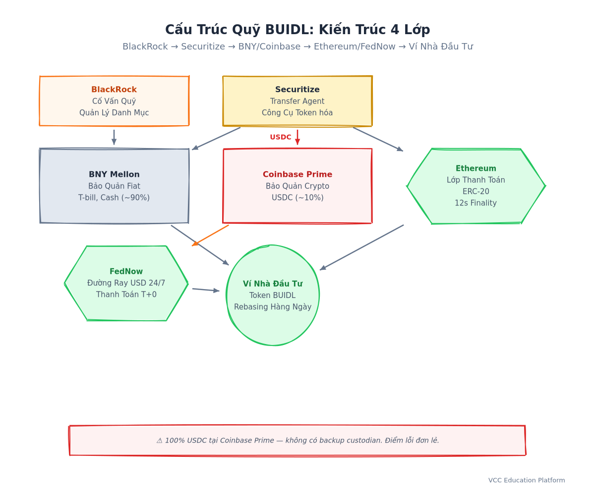 Diagram - BUIDL fund structure: BlackRock (advisor) → Securitize (transfer agent/tokenization) → BNY Mellon (fiat custodian) → Coinbase Prime (USDC crypto custodian) → Ethereum (token issuance) → Investor wallets