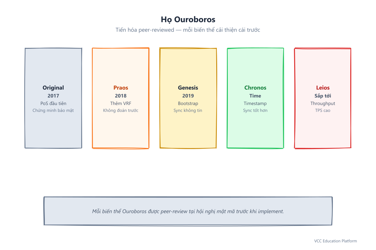Tiến hóa họ Ouroboros: Original (2017), Praos (2018, VRF), Genesis (2019, bootstrap), Chronos (timestamp), Leios (sắp tới, throughput)