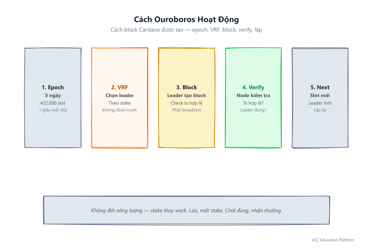 Cách Ouroboros hoạt động: Epoch (5 ngày), VRF chọn leader (theo stake), leader tạo block, node verify, slot tiếp theo