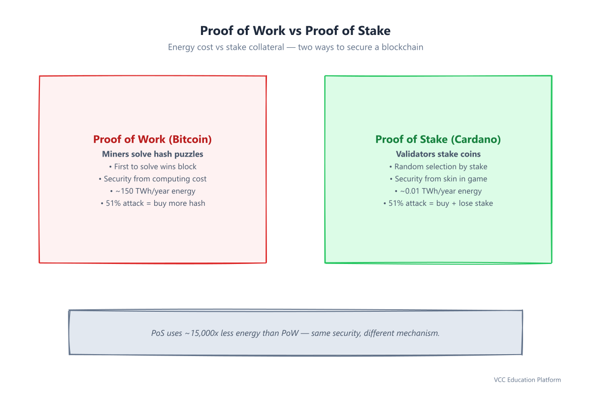 Proof of Work vs Proof of Stake: PoW miners competing to solve hash puzzles; PoS validators staking coins with random selection and slashing