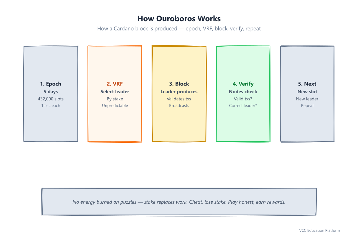 How Ouroboros works: Epoch begins (5 days), VRF selects slot leader (proportional to stake), leader produces block, nodes verify, next slot