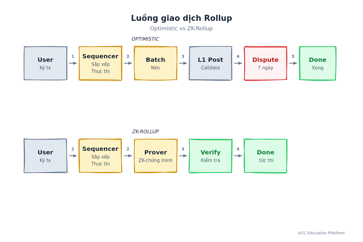 Hình đồ - Tiến trình giao dịch Rollup