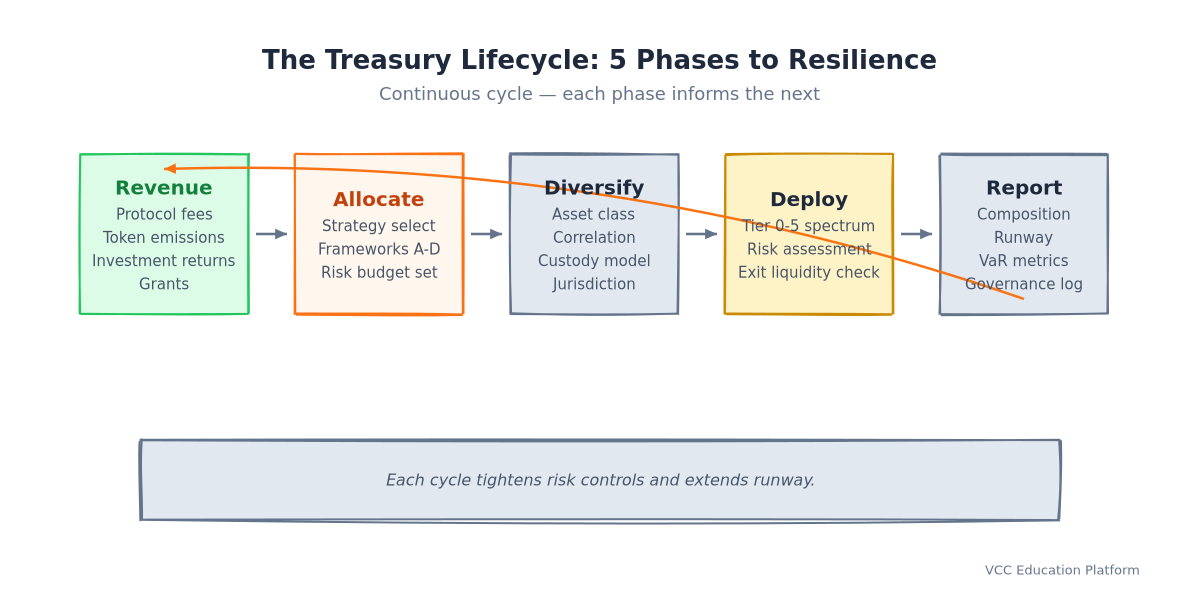 Flowchart - Treasury management lifecycle (revenue → allocation → diversification → deployment → reporting)