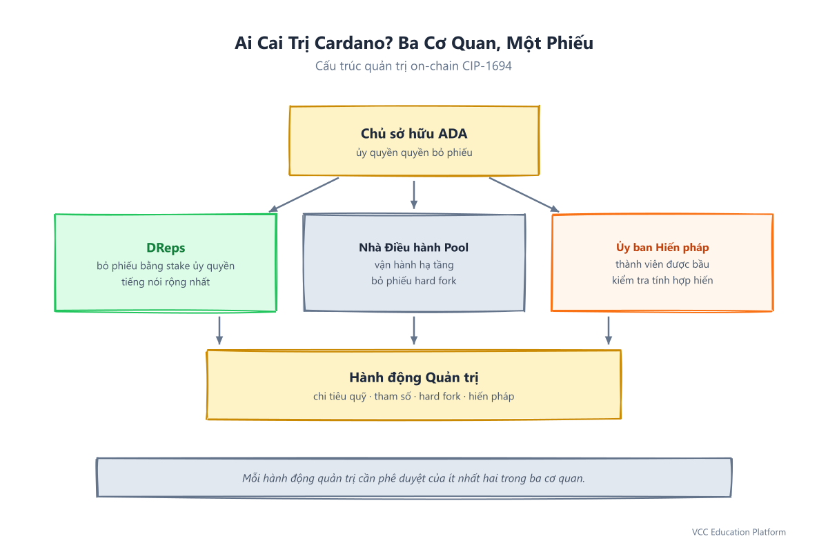 Diagram - Cardano governance overview: central ADA holders box connecting to three governance bodies (DReps, Stake Pool Operators, Constitutional Committee) which vote on governance actions flowing into one outcome box