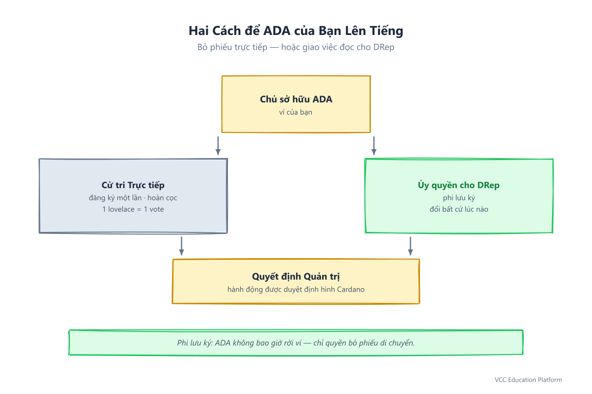 Diagram - Two participation paths: ADA holder box splitting into Direct voting (register as direct voter, 1 lovelace = 1 vote, deposit refunded) and Delegate to a DRep (non-custodial, change anytime); both paths converge on governance decisions