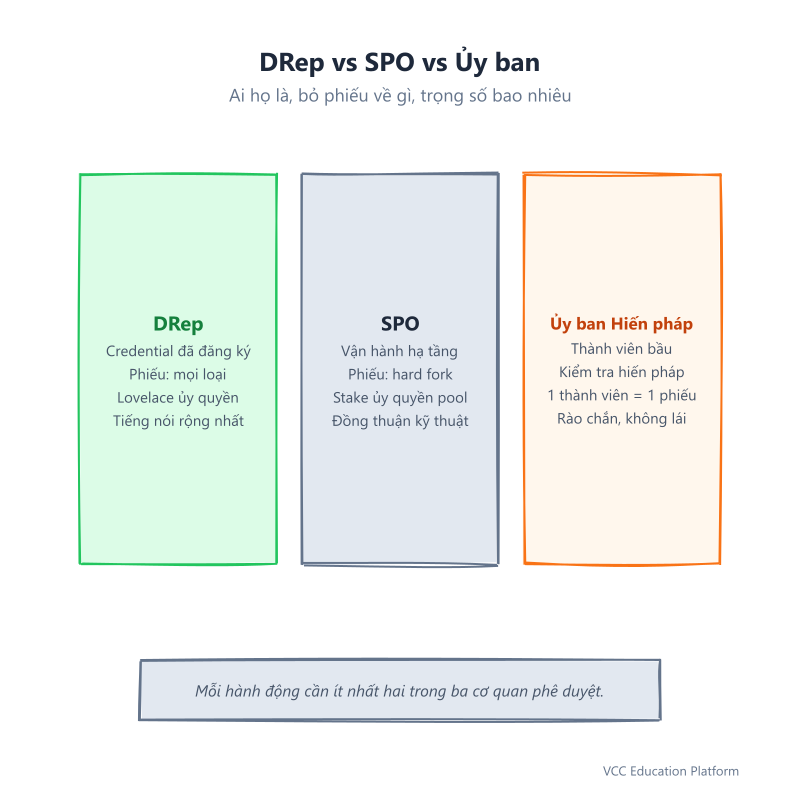 Comparison - DRep vs SPO vs Constitutional Committee: three side-by-side columns showing who they are, what they vote on, and their voting weight, with DRep column highlighted as the broadest voice