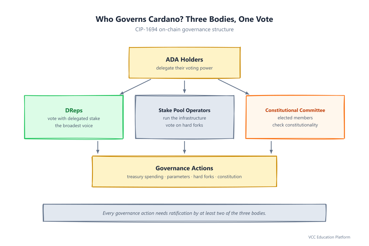 Diagram - Cardano governance overview: central ADA holders box connecting to three governance bodies (DReps, Stake Pool Operators, Constitutional Committee) which vote on governance actions flowing into one outcome box