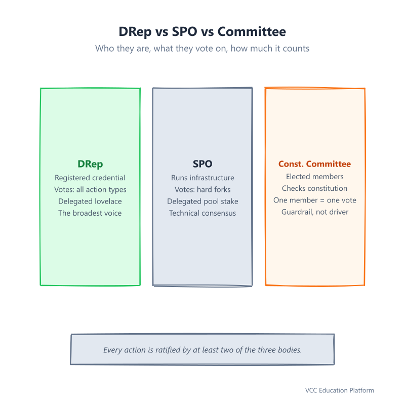 Comparison - DRep vs SPO vs Constitutional Committee: three side-by-side columns showing who they are, what they vote on, and their voting weight, with DRep column highlighted as the broadest voice