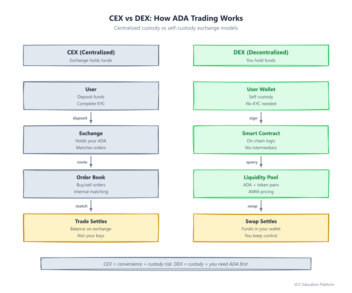 CEX vs DEX flow comparison