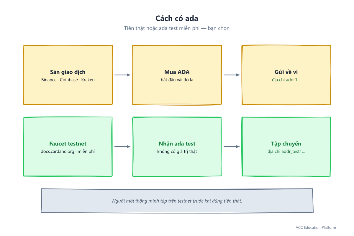 Cách nhận ada: mua trên sàn giao dịch (Binance, Coinbase) rồi gửi về ví, hoặc dùng faucet testnet để nhận ada test miễn phí