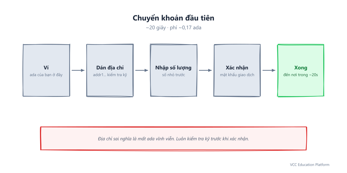 Quy trình chuyển khoản: ví → dán địa chỉ → nhập số lượng → xác nhận → xong sau ~20 giây, phí ~0,17 ada