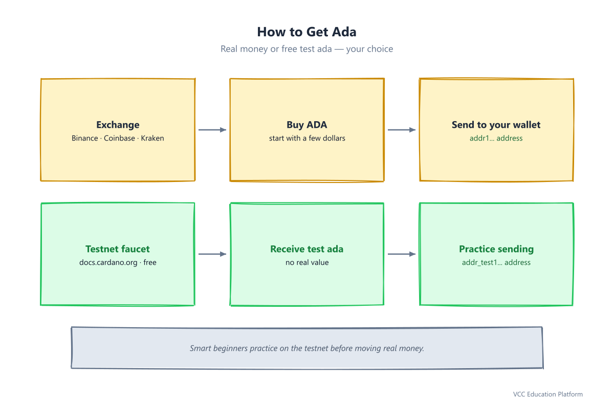 How to get ada: exchange path (real money) vs testnet faucet path (free practice, zero risk)