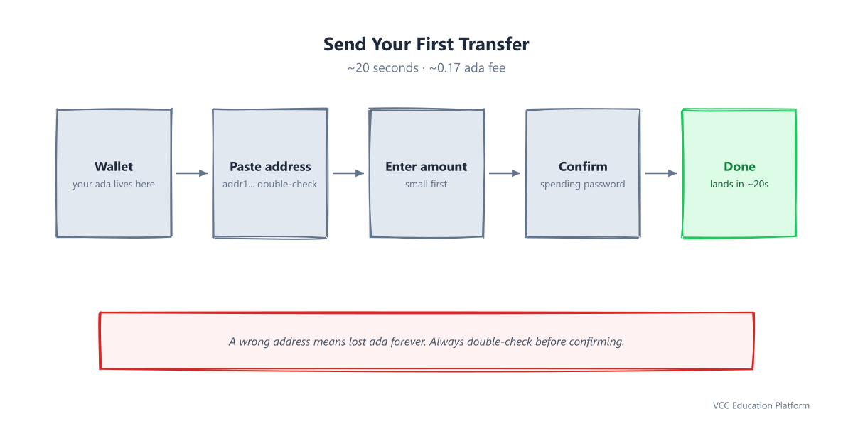 Send a transfer: wallet, paste address, enter amount, confirm, done in ~20 seconds, ~0.17 ada fee
