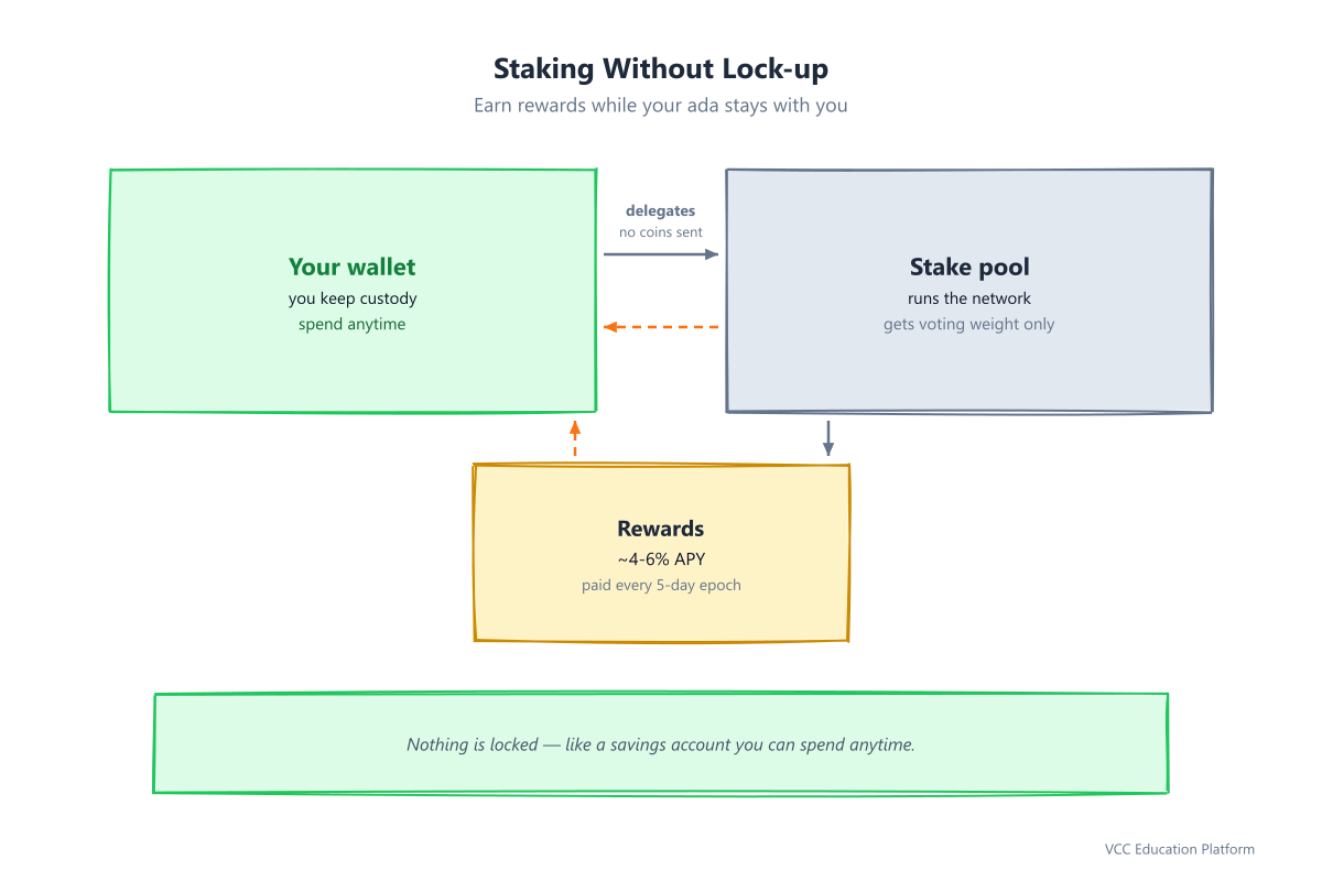 Staking without lock-up: you delegate voting weight only, ada stays in your wallet, earn ~4-6% APY every 5-day epoch
