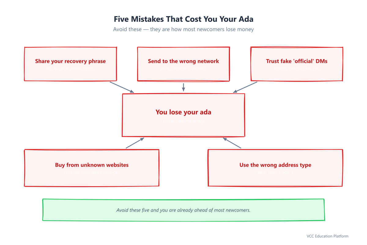 Five mistakes that cost you your ada: share recovery phrase, wrong network, fake support DMs, unknown exchanges, wrong address type