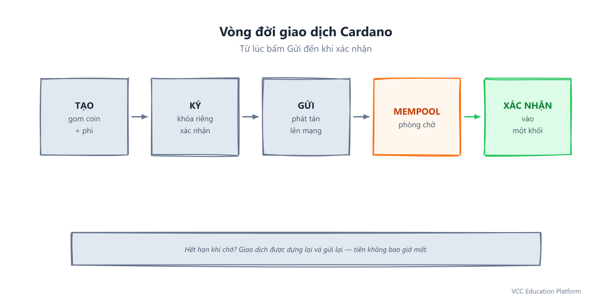 Vòng đời giao dịch Cardano: năm giai đoạn từ tạo và ký đến gửi đi, chờ trong mempool và được xác nhận trong một khối