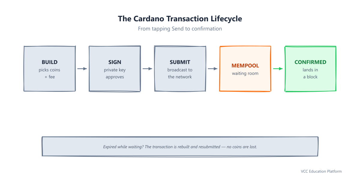 Cardano transaction lifecycle: five stages from build and sign to submit, waiting in the mempool, and confirmed in a block