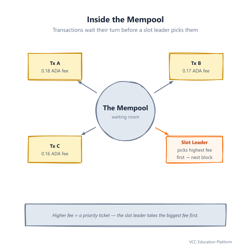 Inside the mempool: transactions with fees of 0.18, 0.17 and 0.16 ADA wait in the hub until a slot leader picks the highest-fee transaction first