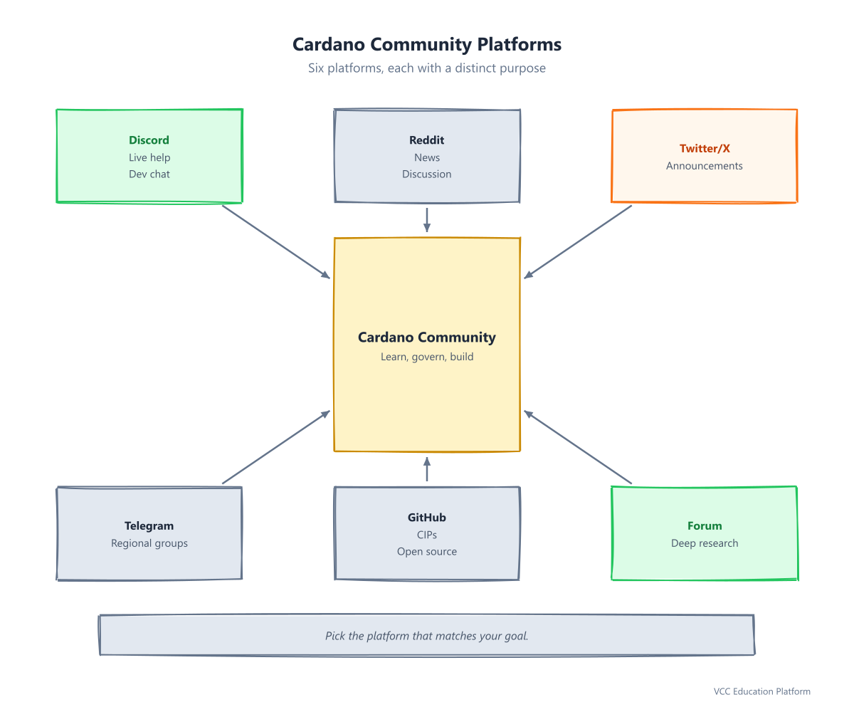 Cardano Community Platforms and Their Purposes