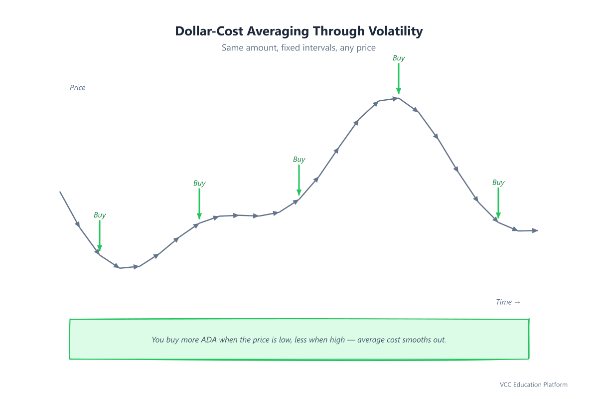 DCA illustration: buying ADA at fixed intervals through price ups and downs
