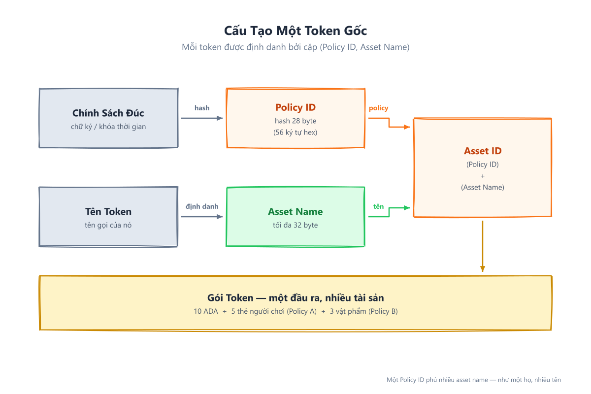 Giải phẫu một token gốc: Policy ID + Asset Name