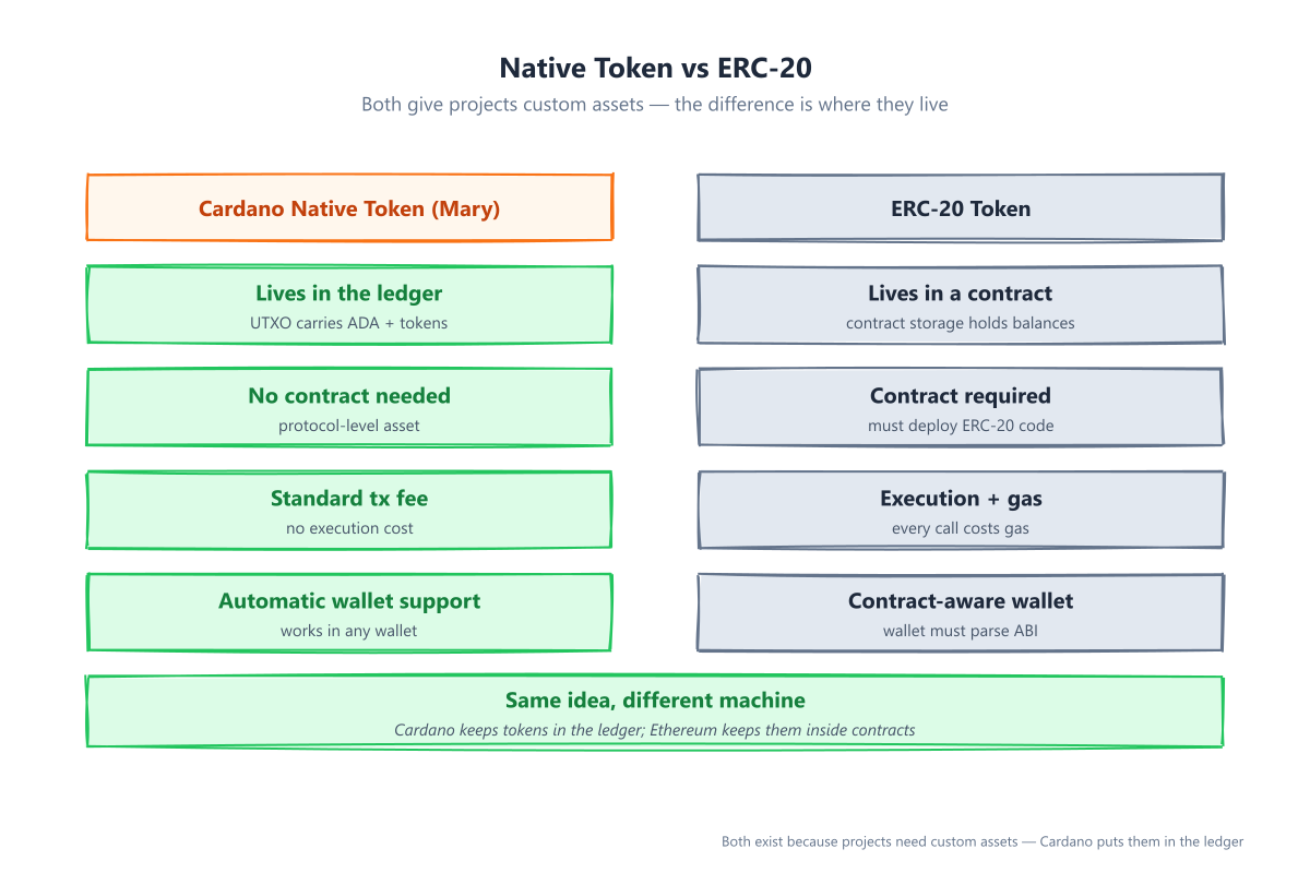 Comparison: Cardano native tokens live in the ledger with no contract and standard fees; ERC-20 tokens live in contracts with gas costs