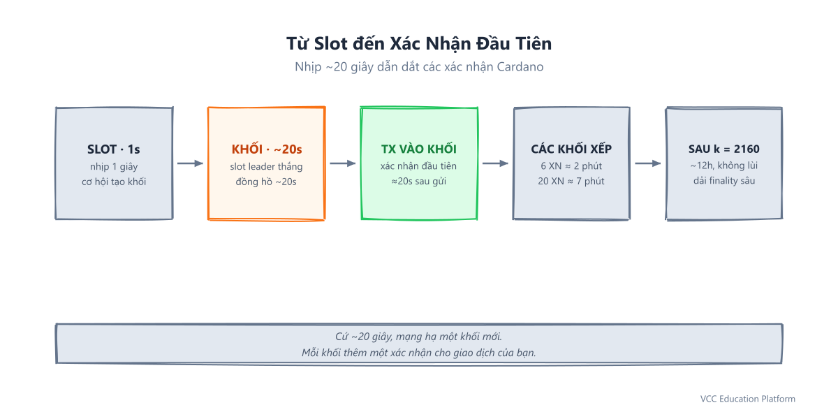Từ slot đến xác nhận đầu tiên: nhịp thời gian khối 20 giây của Cardano quyết định khi giao dịch của bạn xuất hiện
