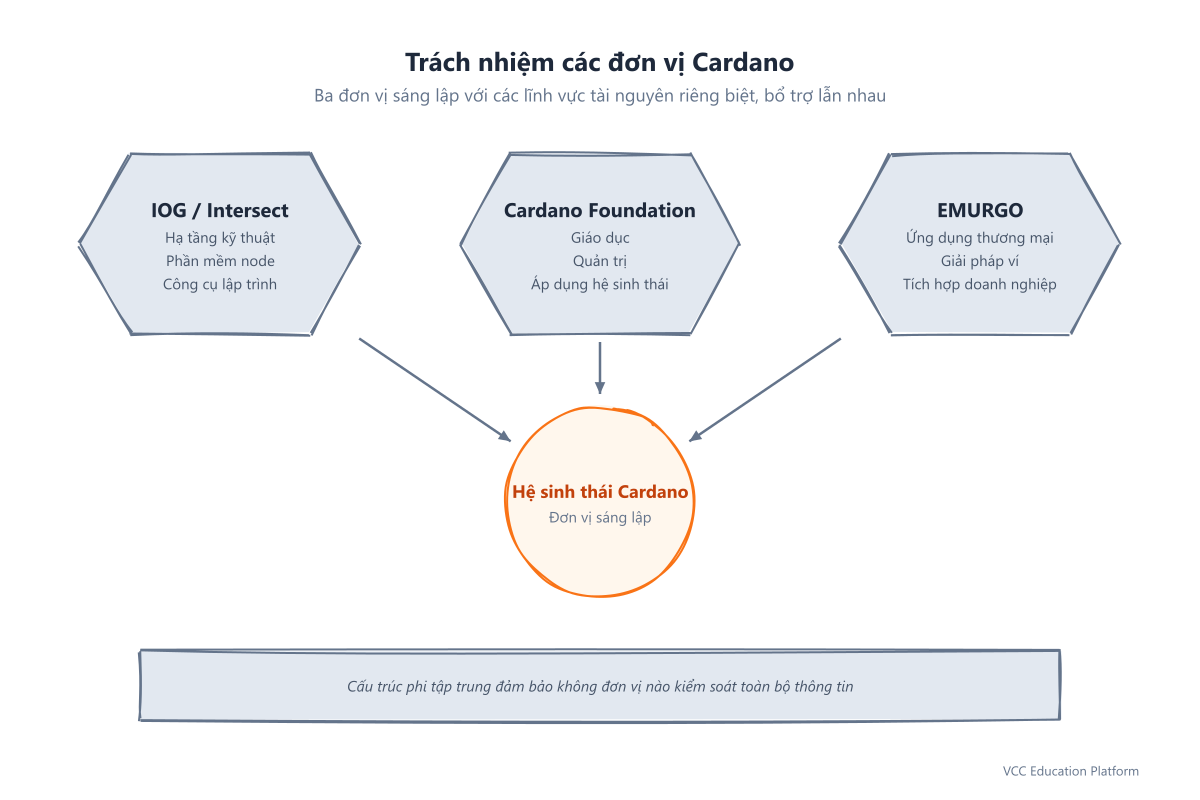 Trách nhiệm của các tổ chức Cardano: IOG/Intersect, Cardano Foundation và EMURGO với các lĩnh vực tài nguyên tương ứng