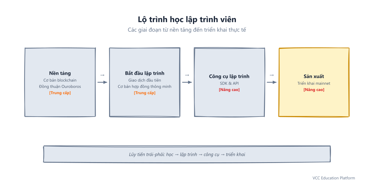 Lộ trình học tập cho nhà phát triển từ fundamentals qua start building đến builder tools