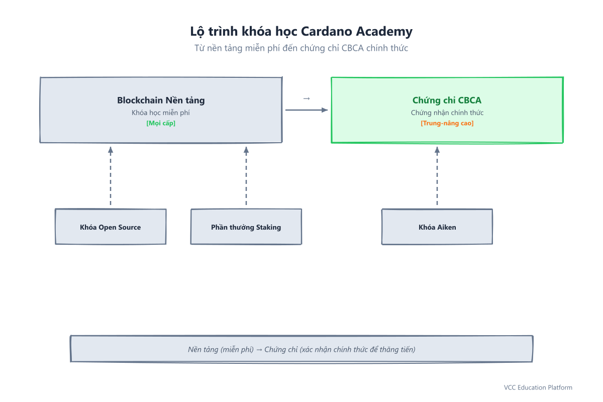 Lộ trình khóa học Cardano Academy từ fundamentals đến chứng chỉ CBCA