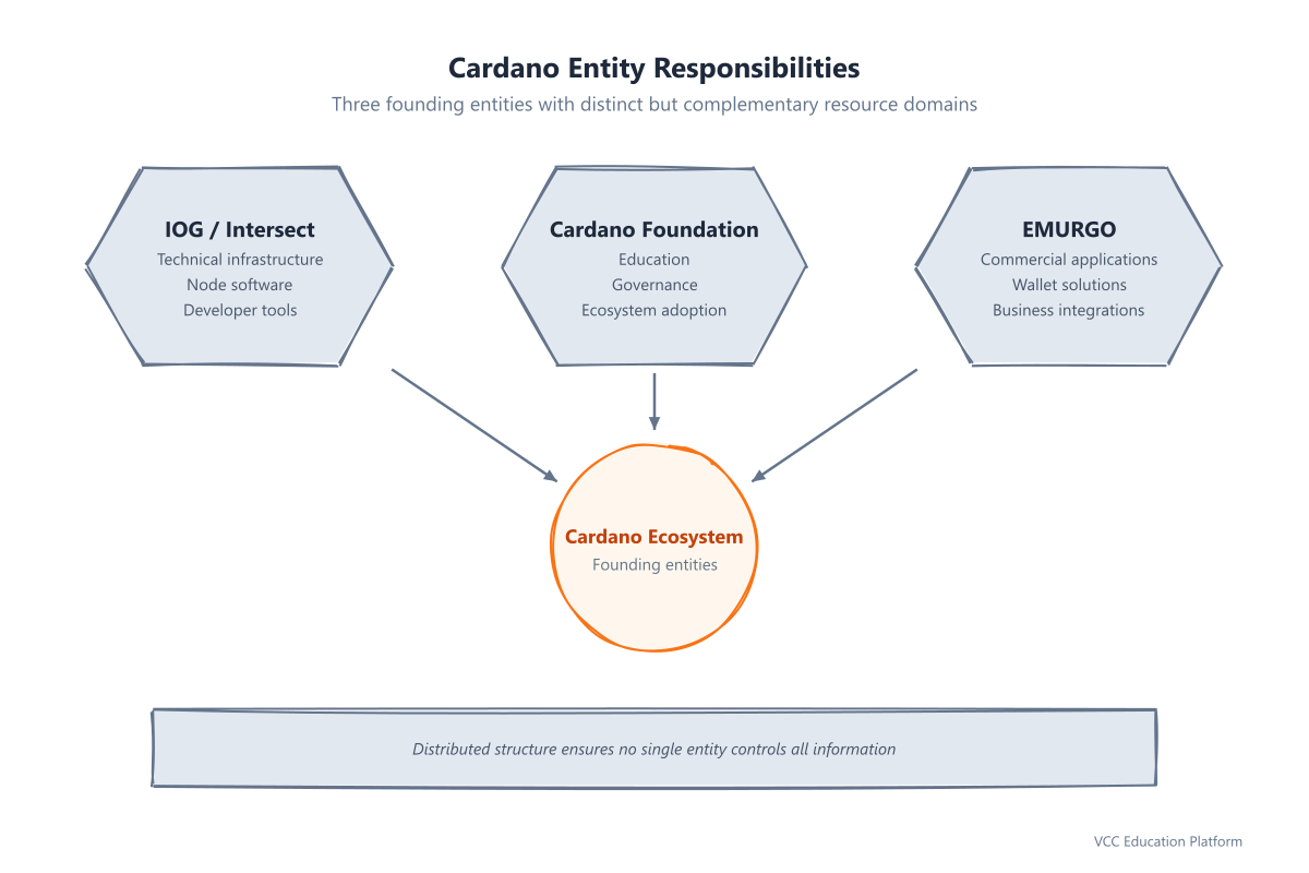 Cardano entity responsibilities: IOG/Intersect, Cardano Foundation, and EMURGO with their respective resource domains
