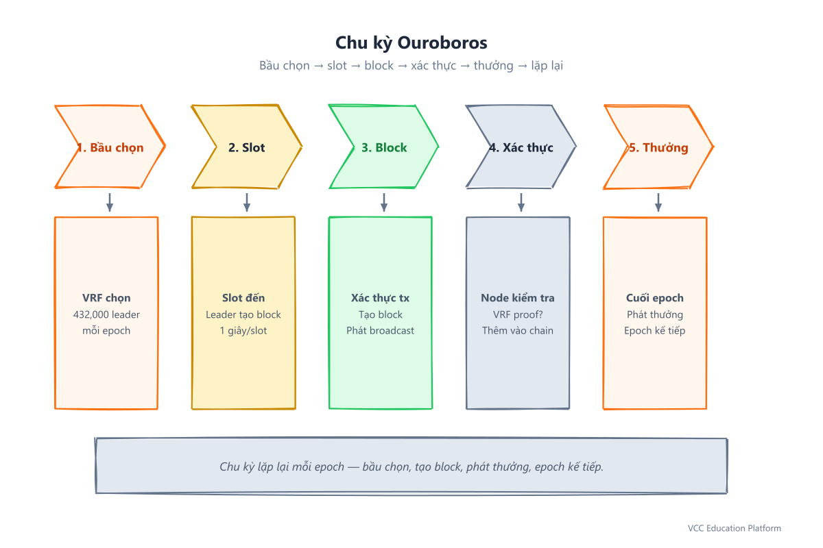 Chu kỳ Ouroboros: 5 bước chevron — bầu chọn, slot, block, xác thực, thưởng