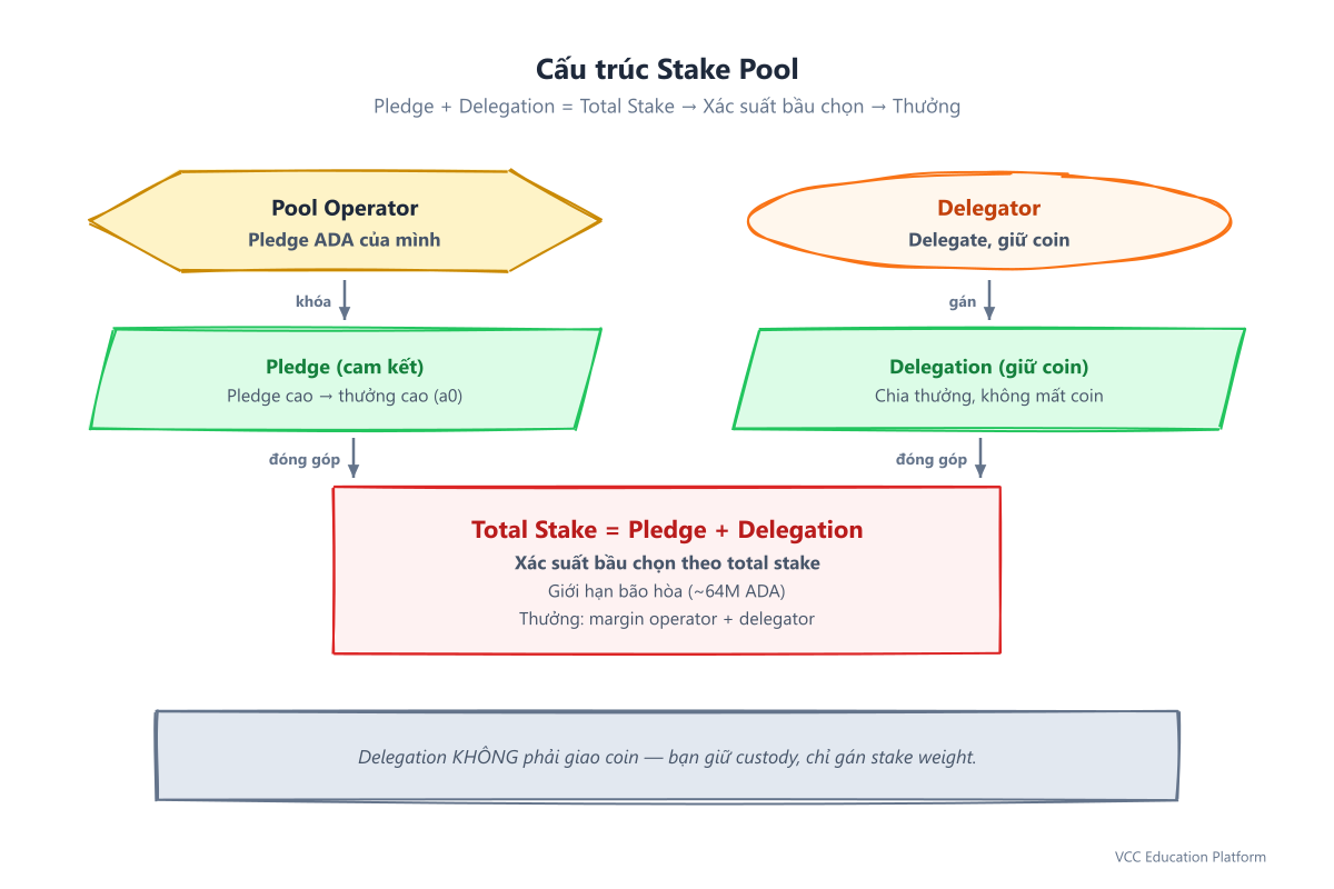 Cấu trúc stake pool: operator (hexagon) + delegator (ellipse) → pledge + delegation → total stake → xác suất bầu chọn