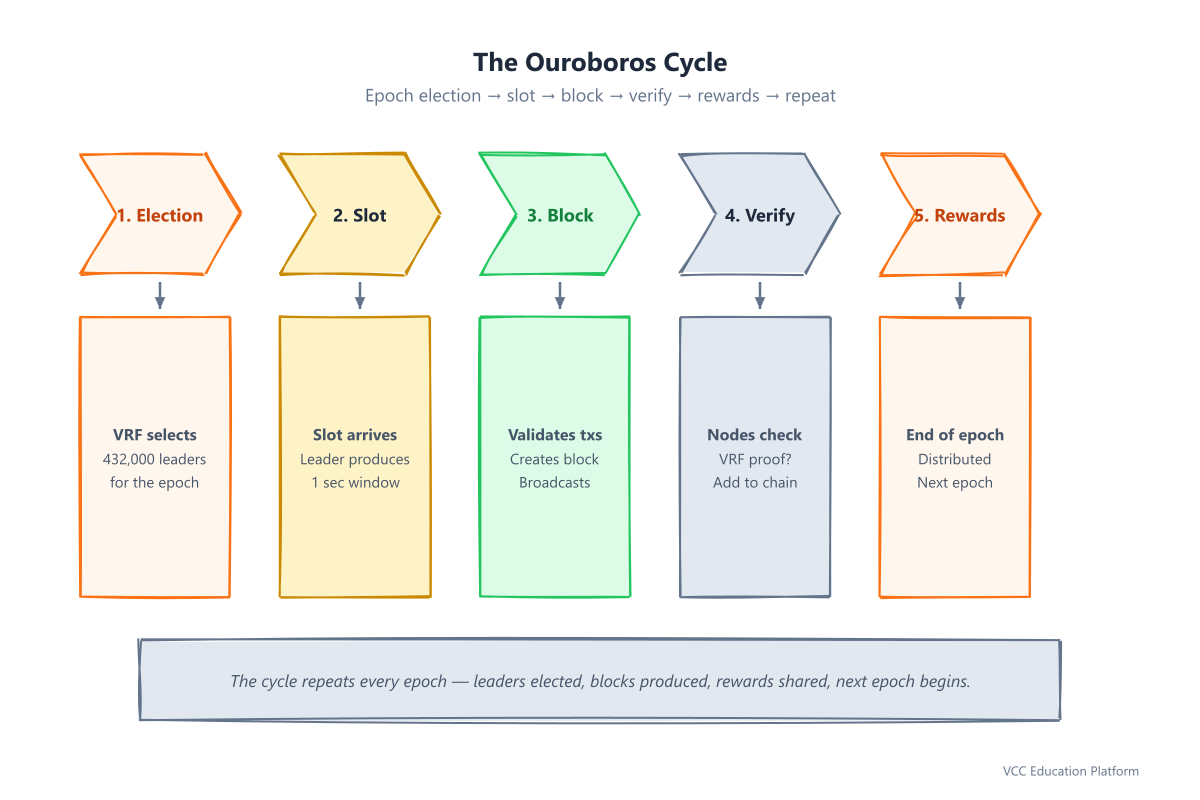 Ouroboros cycle: 5 chevron steps — election, slot, block, verify, rewards