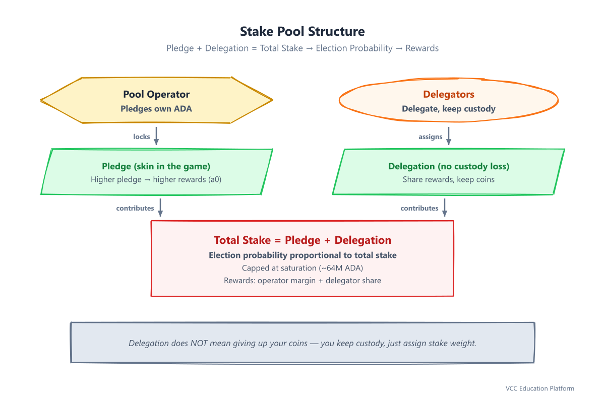 Stake pool structure: operator (hexagon) + delegators (ellipse) → pledge + delegation → total stake → election probability