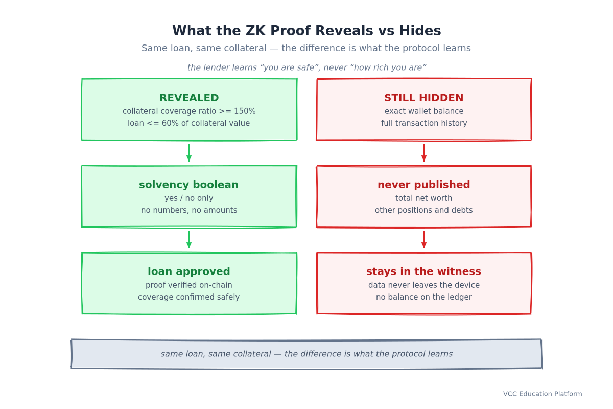 What the ZK proof reveals vs hides: revealed is the coverage ratio, LTV cap, and a solvency boolean; hidden is the exact balance, history, net worth, and other positions