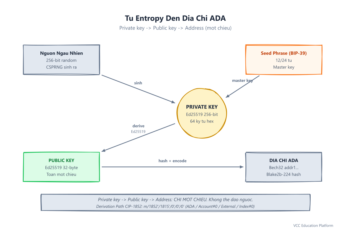 Quy trình từ entropy đến địa chỉ ADA qua private/public key