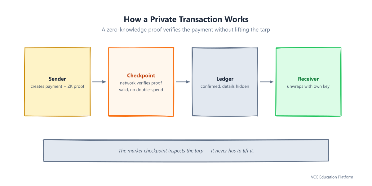 How a private transaction works: sender creates a payment and ZK proof, the network verifies the proof at a checkpoint, the transaction is confirmed on the ledger with details still hidden, and the receiver unwraps with their own key only