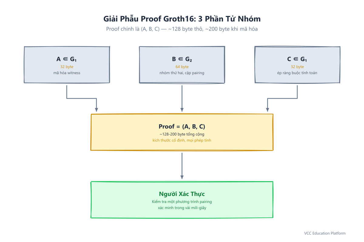 Giải phẫu proof Groth16: ba phần tử nhóm A, B, C tạo nên proof