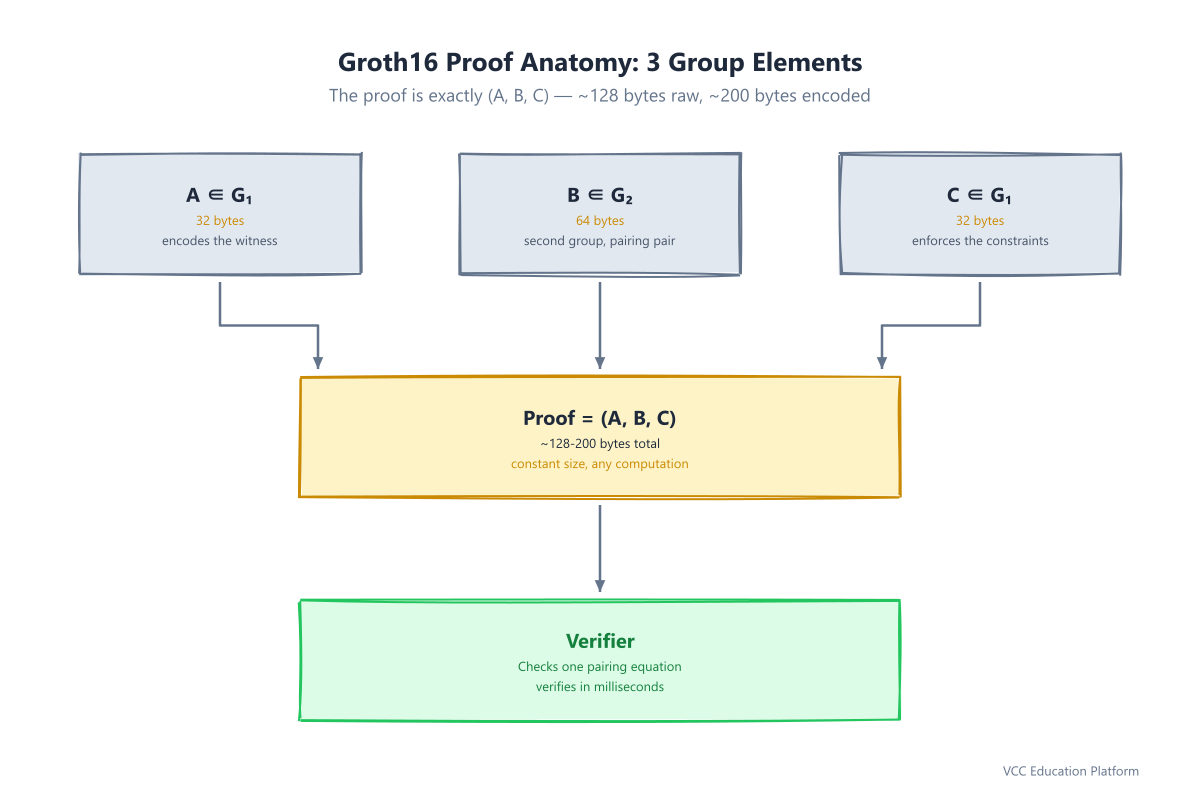 Groth16 proof anatomy: three group elements A, B, C compose the proof