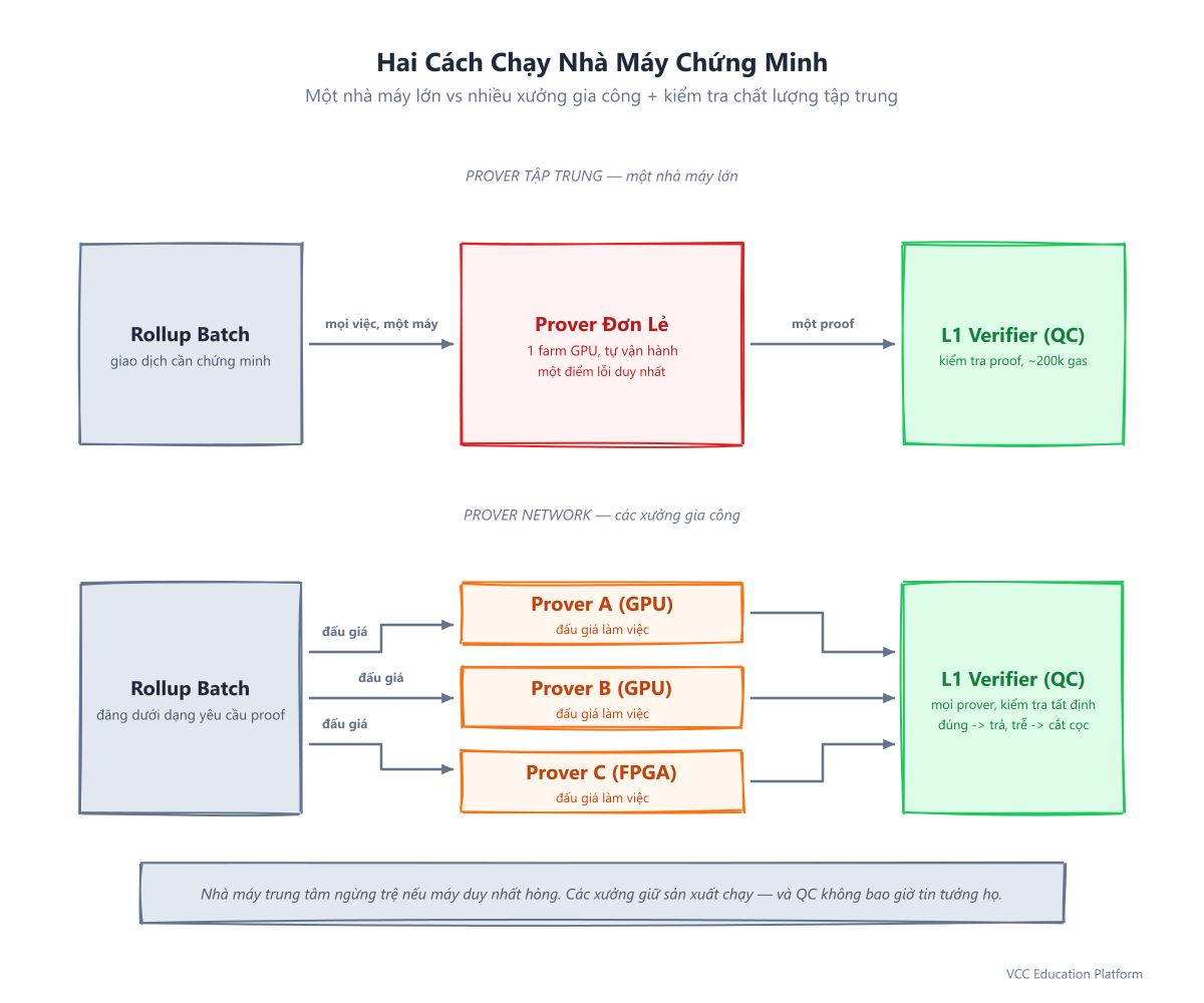 Phép so sánh nhà máy may: prover tập trung vs mạng lưới xưởng gia công cùng một L1 verifier
