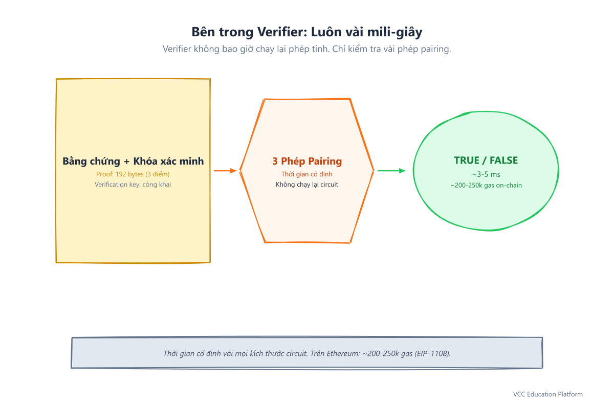 Bên trong verifier: proof cộng verification key, vài phép pairing, đúng hoặc sai