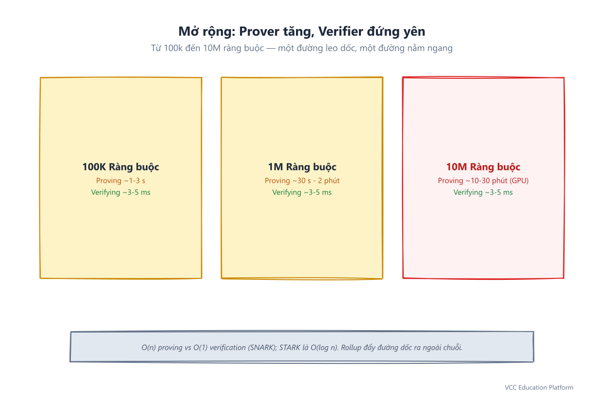 So sánh mở rộng: proving time tăng theo constraints, verification giữ phẳng