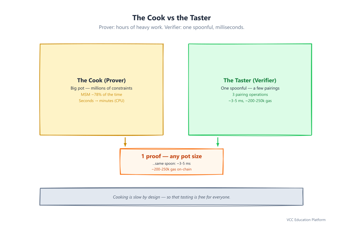 The cook vs the taster: prover does heavy work, verifier checks in milliseconds