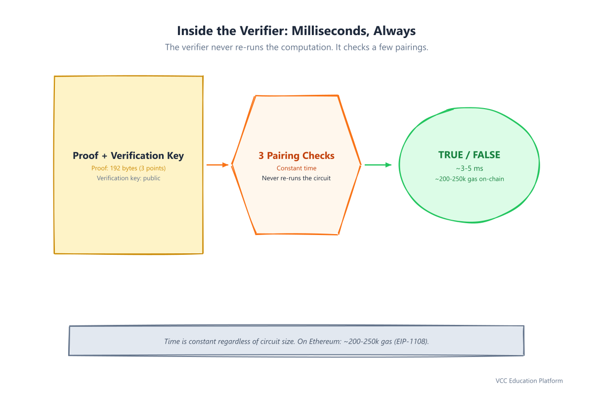 Inside the verifier: proof plus verification key, few pairings, true or false