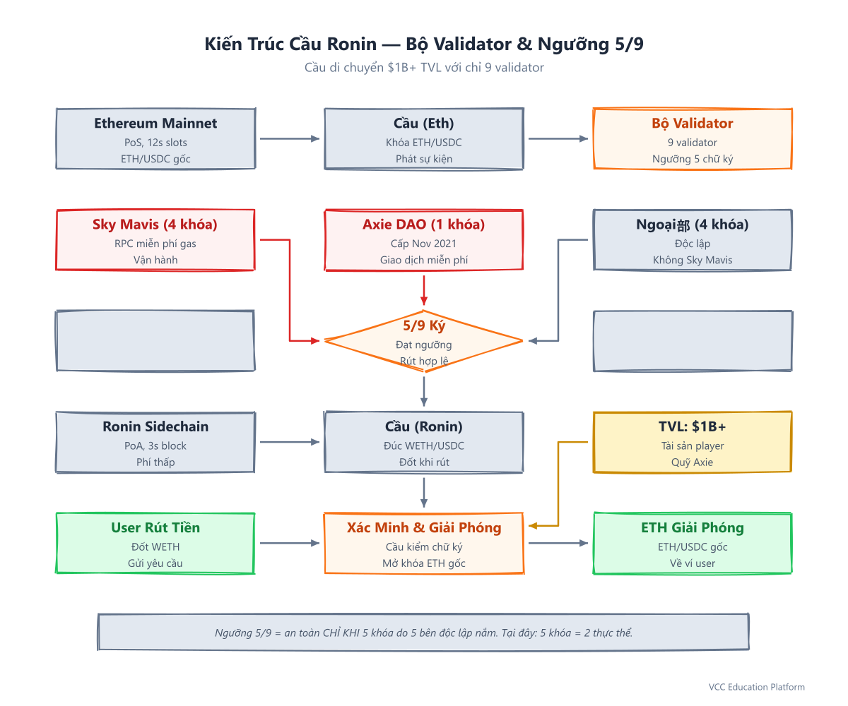 Kiến trúc cầu Ronin — Bộ validator & ngưỡng 5/9