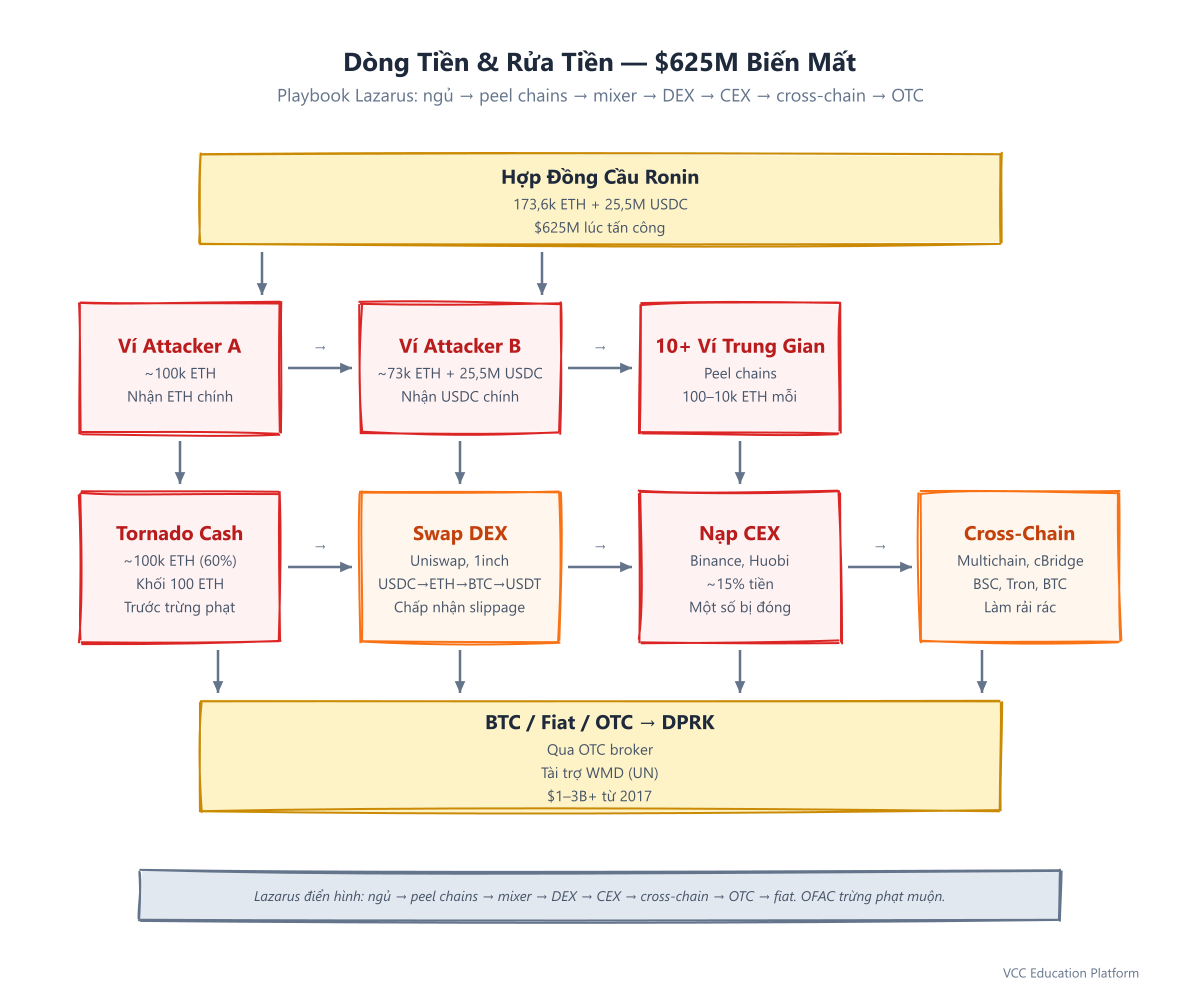 Dòng tiền & rửa tiền — Cách $625M biến mất