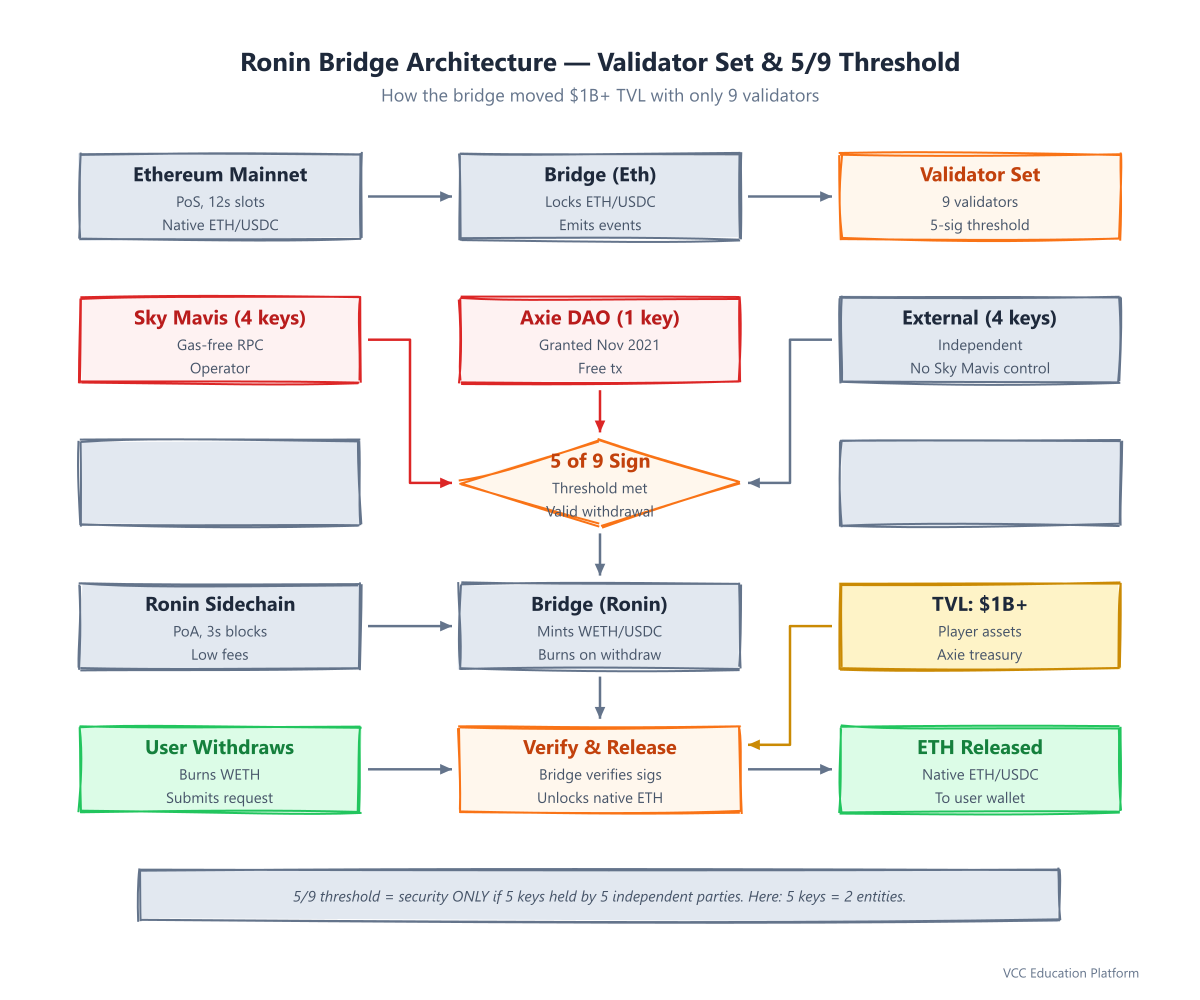 Ronin Bridge Architecture — Validator Set & 5/9 Threshold