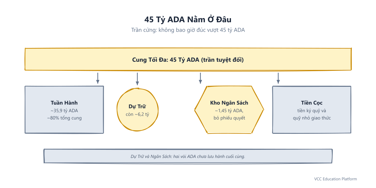 Diagram - Where the 45 billion ADA lives: ~35.9B circulating, ~6.2B staking reserve, ~1.45B on-chain treasury, remainder in deposits